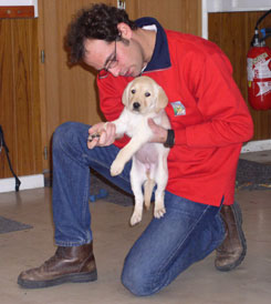 test des chiots